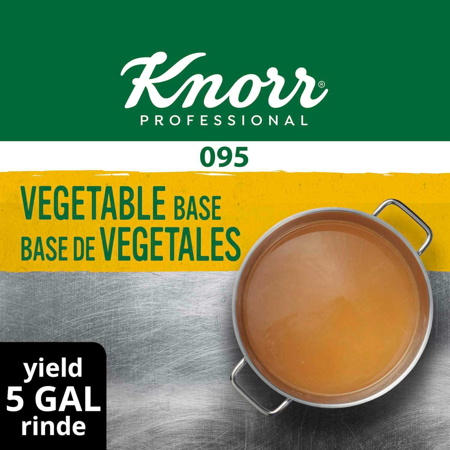 Single Knorr Professional 095 Low Sodium Vegetable Stock Base, 1 Pound -- 1 per case