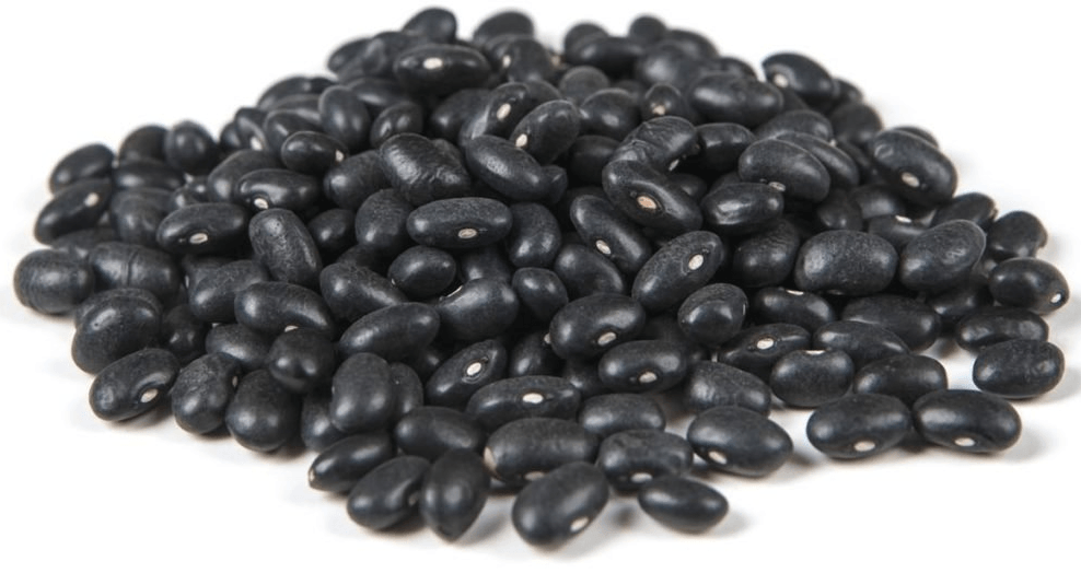 Commodity Canned Fruit and Vegetables Fancy Black Beans in Brine, Number 10 Can -- 6 per case