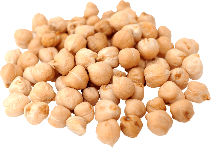 Commodity Canned Fruit and Vegetables All Natural Extra Fancy Chickpeas, Number 10 Can -- 6 per case