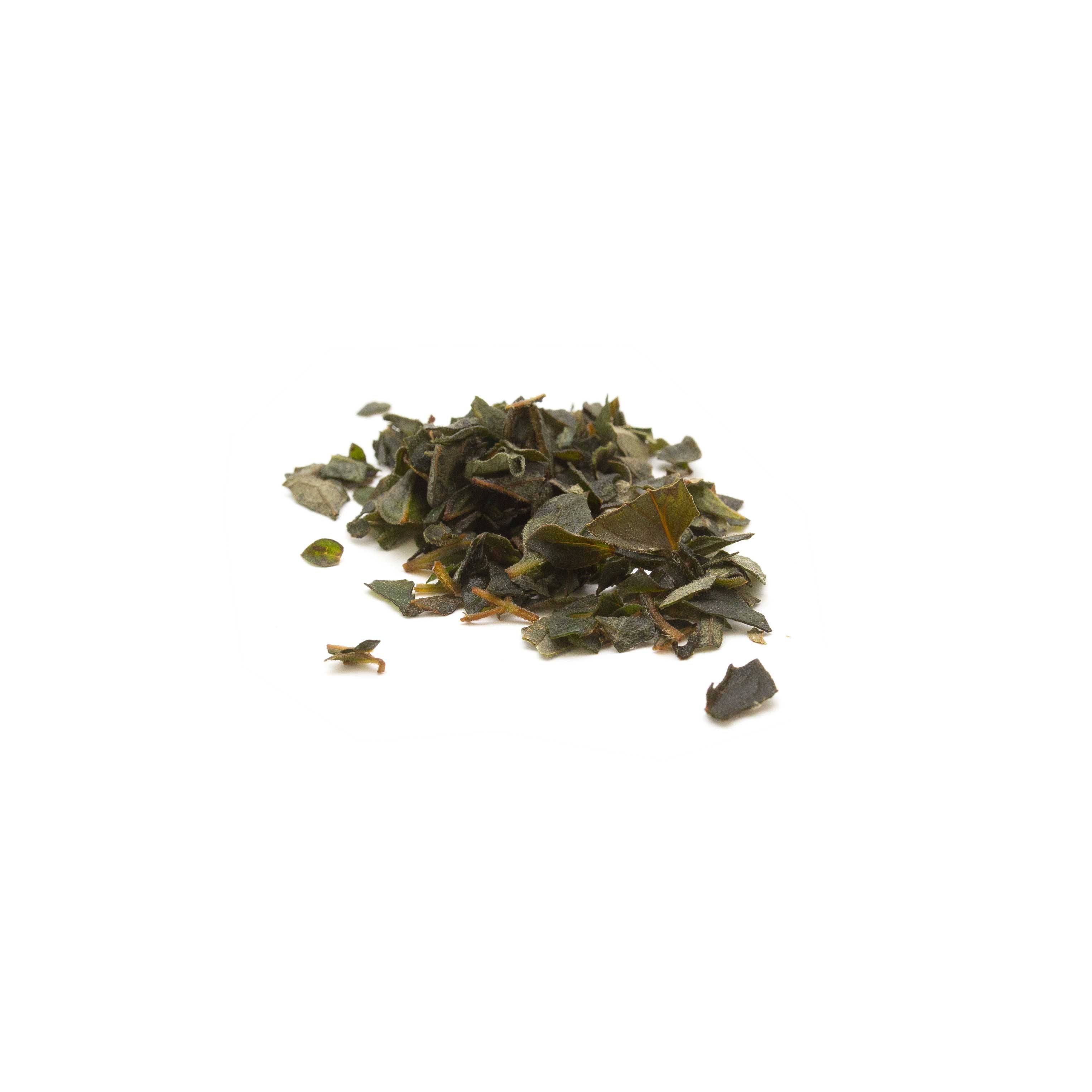 SupHerb Fresh Oregano, 4 Pound.