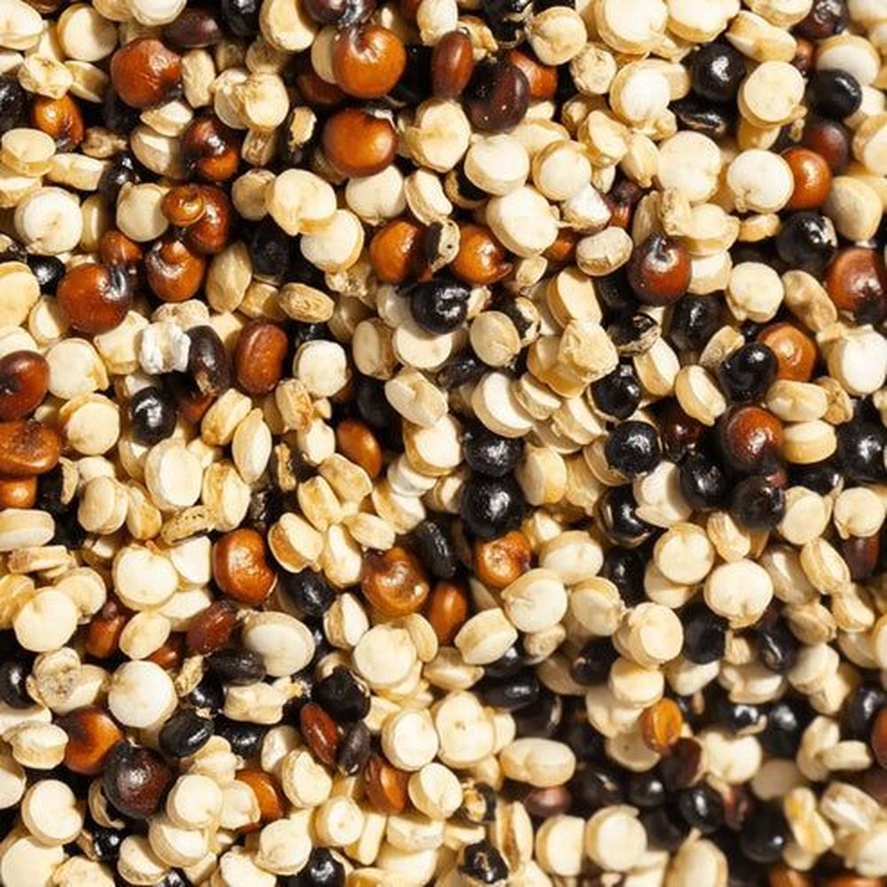 Simpli Organic Tricolor Quinoa, 25 Pound