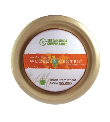 World Centric Bagasse Unbleached Round Fiber Plate, 20 Each -- 240 per case