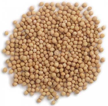 Frontier Whole Yellow Mustard Seed, 1 Pound