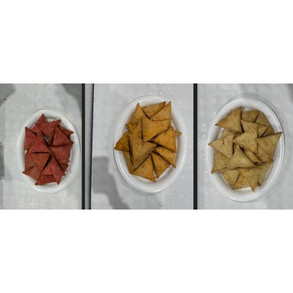 Nanas Kitchen Vegetable Samosa Chicken Tandoori Samosa Butter Chicken Samosa - Combo Pack, 16.66 Pound -- 3 per case
