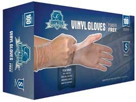 Empress Small Powder Free Disposable Vinyl Gloves - 100 count per pack - 10 packs per case
