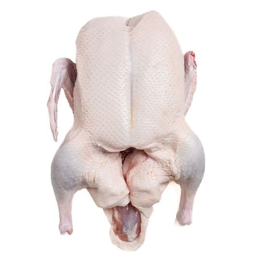 Heritage Duckling without Neck and Giblets, 6 Pound -- 6 per case