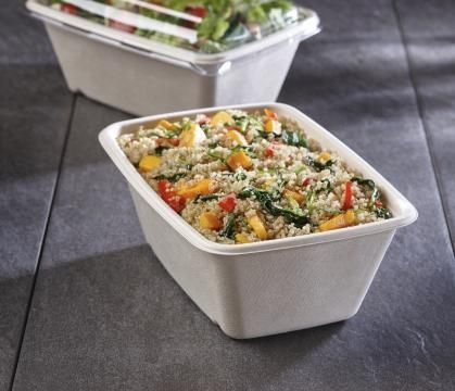 Sabert Natural Pulp Rectangle Container, 54 Ounce Capacity -- 300 per case.