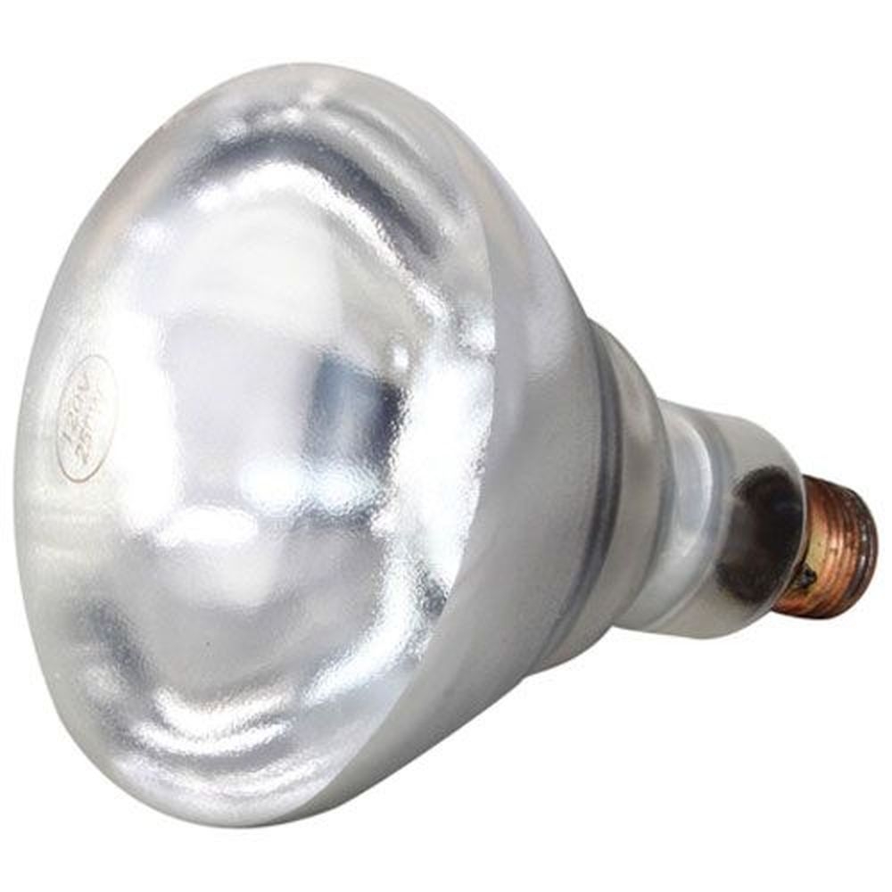 AllPoints ALL381136 250 Watts Infrared Lamp, 12 count