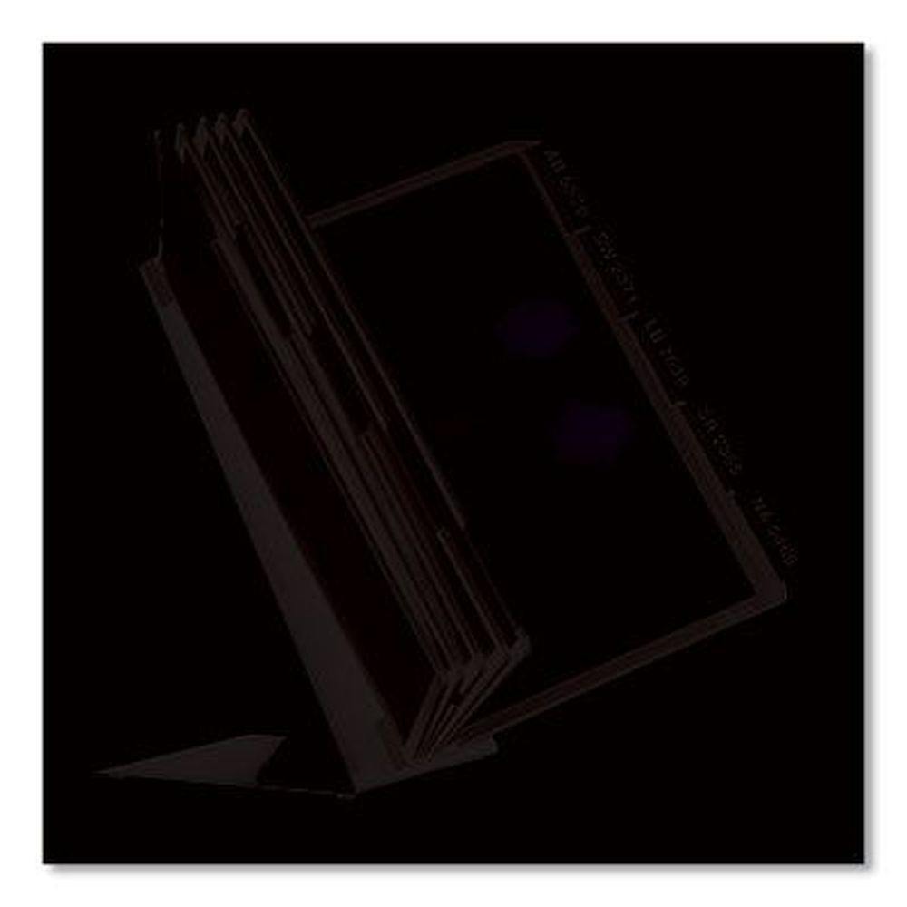 Durable Vario Black Borders 10 Panels Document Holder, 15.5 x 6.5 x 10.75 inch