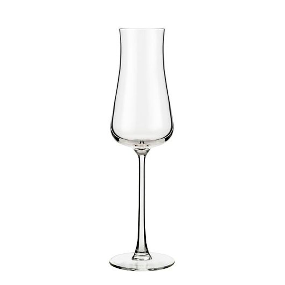 Virtuoso Storytellers Flute Cocktail Glass