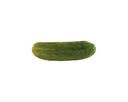 Bay Valley Foods Kosher Whole Dill Pickle, 5 Gallon.