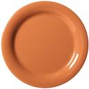 Diamond Harvest Melamine Pumpkin Narrow Rim Plate, 9 inch -- 24 per case