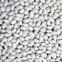 Product thumb gallery 1787489