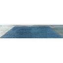 Cactus Mat Red Carpet Floor Mat.