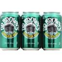 Dr. Browns 12 Fluid Ounce Extra Dry Ginger Ale Soda, 6 count -- 4 per case