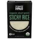 Oceans Halo Organic Short Grain Sticky Rice, 32 Ounce -- 5 per case