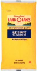 Land O Lakes Queso Bravo Queso Cheese Dip, 5 Pound -- 6 per case.