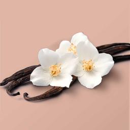 Product thumb gallery 4333092
