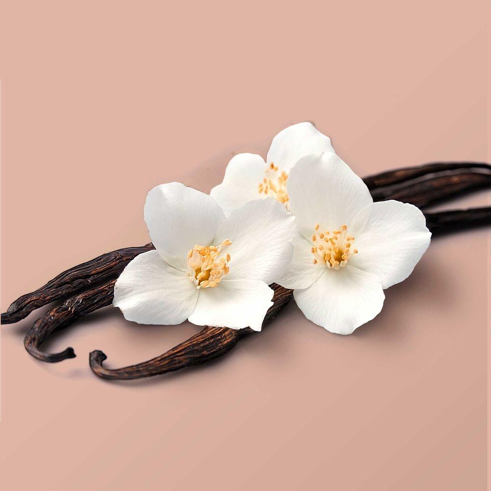 Product gallery 4333092