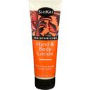 Shikai Sandalwood Hand and Body Lotion, 8 Ounce -- 3 per case