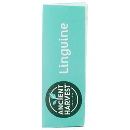 Product thumb gallery 3965019