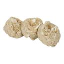Otis Spunkmeyer White Chocolate Macadamia Gourmet Cookie Dough, 5 Pound Bag -- 4 per case