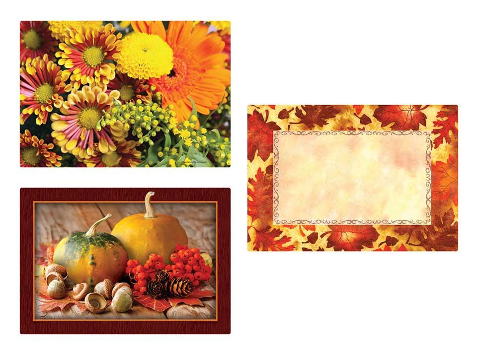 Product gallery 713849056