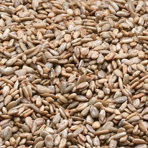 Product gallery 64272657