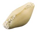 Conagra Angela Mia Pasta Shell with Cheese -- 120 per case.