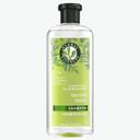 Herbal Essences Classics Clarifying Tea Tree Shampoo, 13.5 Fluid Ounce -- 6 per case