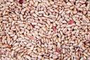 Commodity Beans Triple Clean Pinto Bean, 20 Pound Box