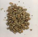 Sunopta Dry Hulled Nut Raw Sunflower Seed, 50 Pound.