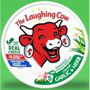 The Laughing Cow 8P Garlic and Herb Creamy Cheese, 5.4 Ounce -- 12 per case