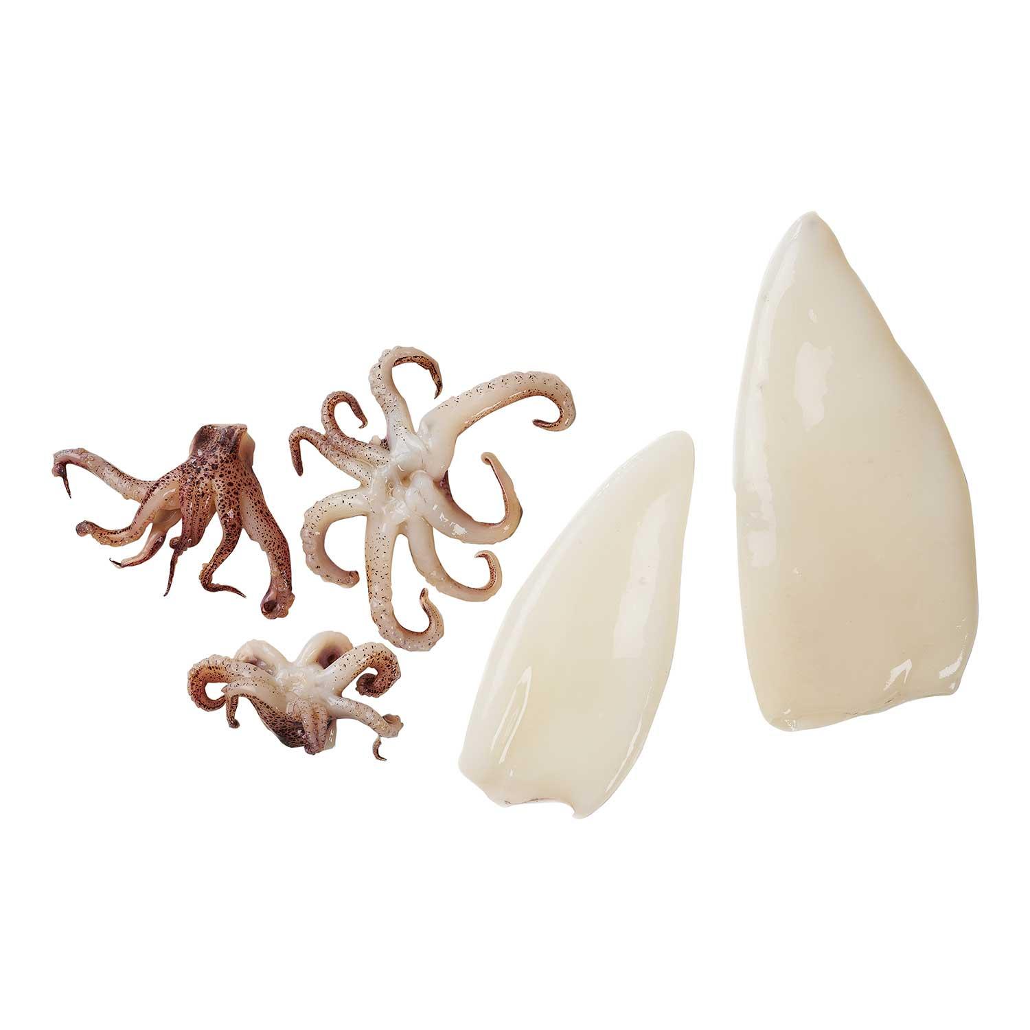 Product gallery 305994949