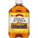 Indian Summer Apple Juice with Vitamin C, 46 Fluid Ounce -- 8 per case