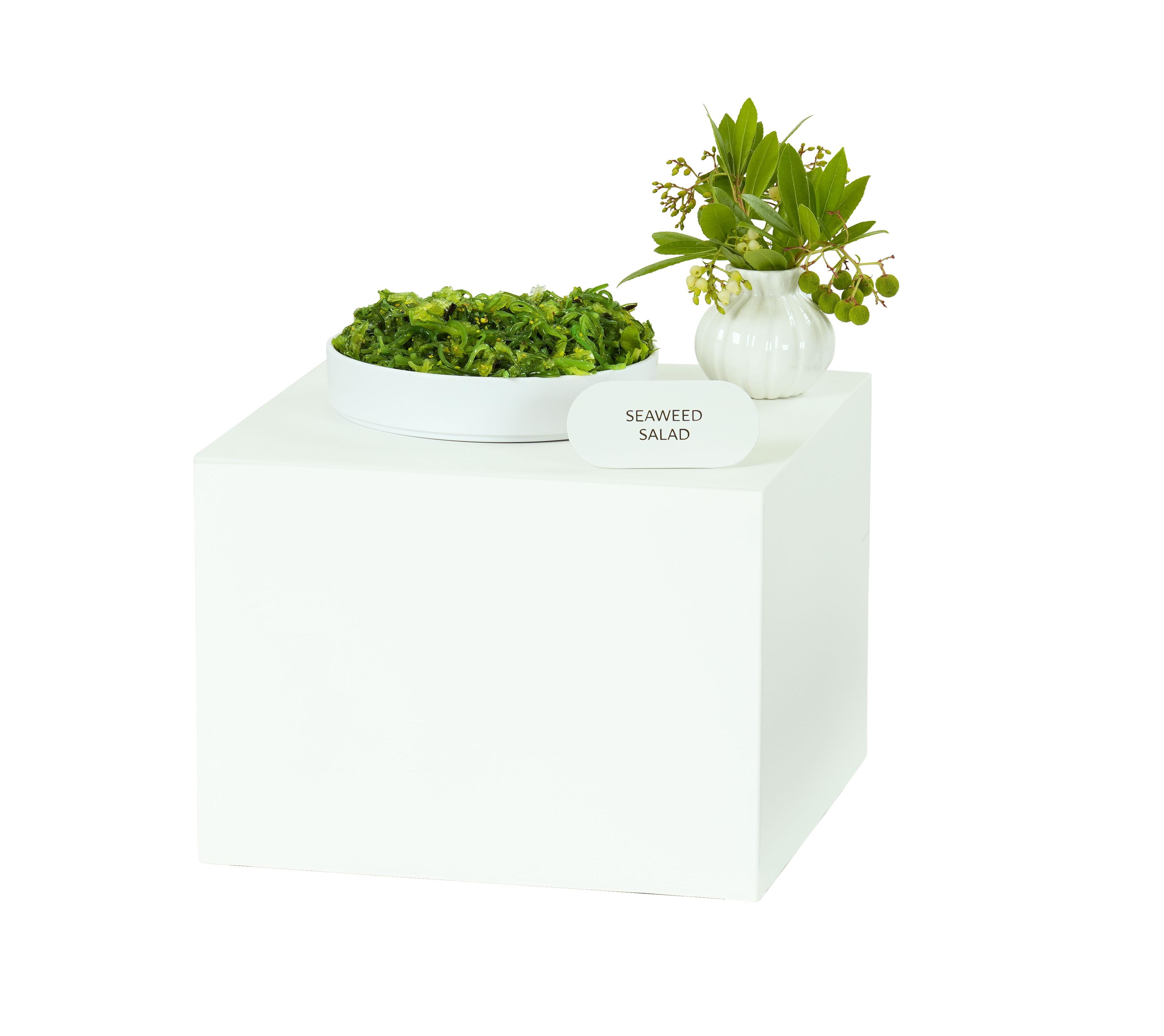 Product gallery 3667313