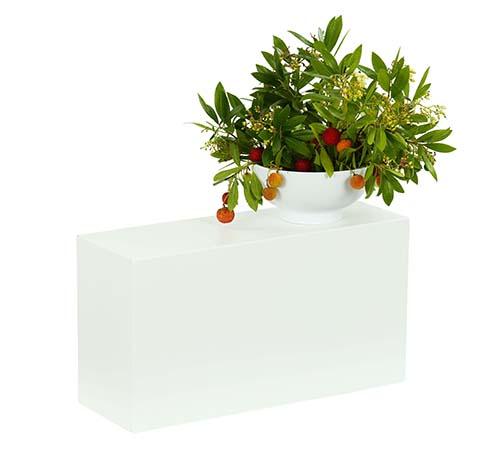 Product gallery 3667367