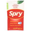 Spry Sugar-free Cinnamon Dental Defense Gum, 55 count -- 12 per case