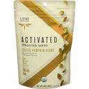 Living Intentions Organic Sprouted Pumpkin Seeds, 8 Ounce -- 6 per case