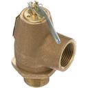 Cleveland CLEFK22131 15 PSI 3/4 inch Pressure Relief Valve