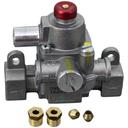 Garland TS Safety Valve Kit for Garland Part Number CKG01479-01