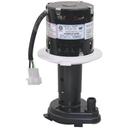 Scotsman SCO12-2919-21 Water Pump