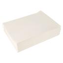 Winston Products WINPS1488 16 3/4 inch x 22 1/2 inch Fry Filter Paper, 100 count