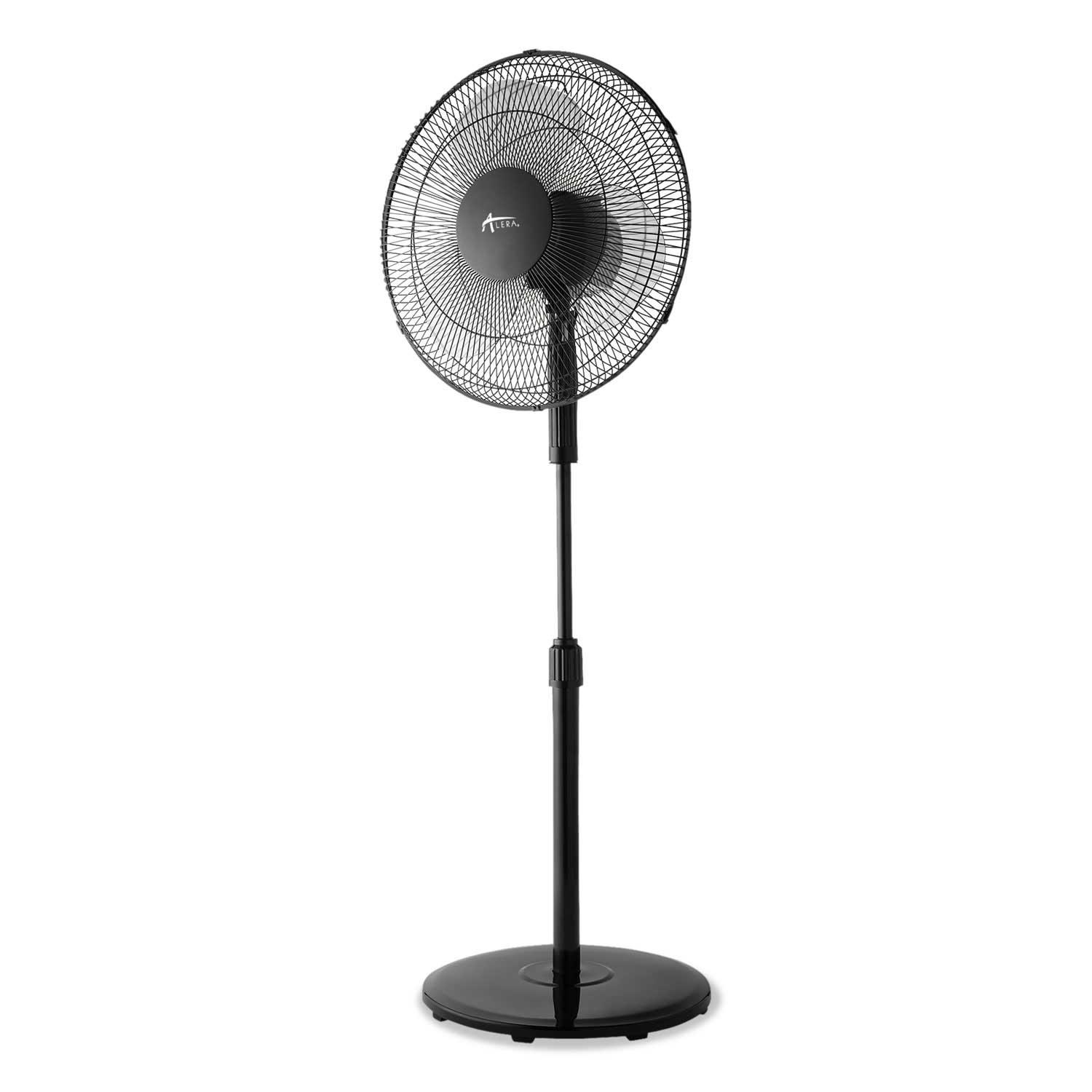 Product gallery 2170073