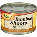 Sliced Bamboo Shoots