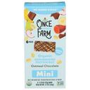 Organic Oatmeal Chocolate Mini Protein Bar
