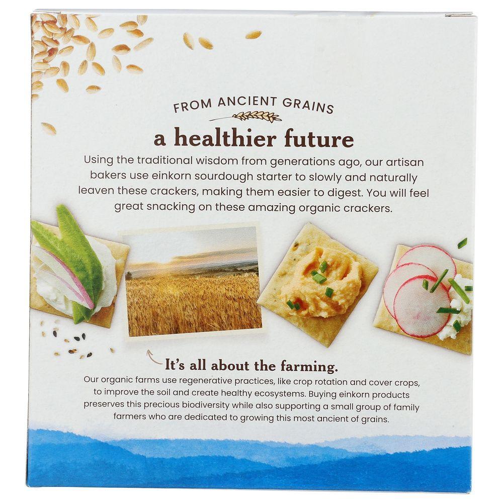 Product gallery 894007686