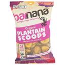 Organic Himalayan Pink Salt Plantain Scoops