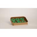 Green Iced Ring Donut with Decos