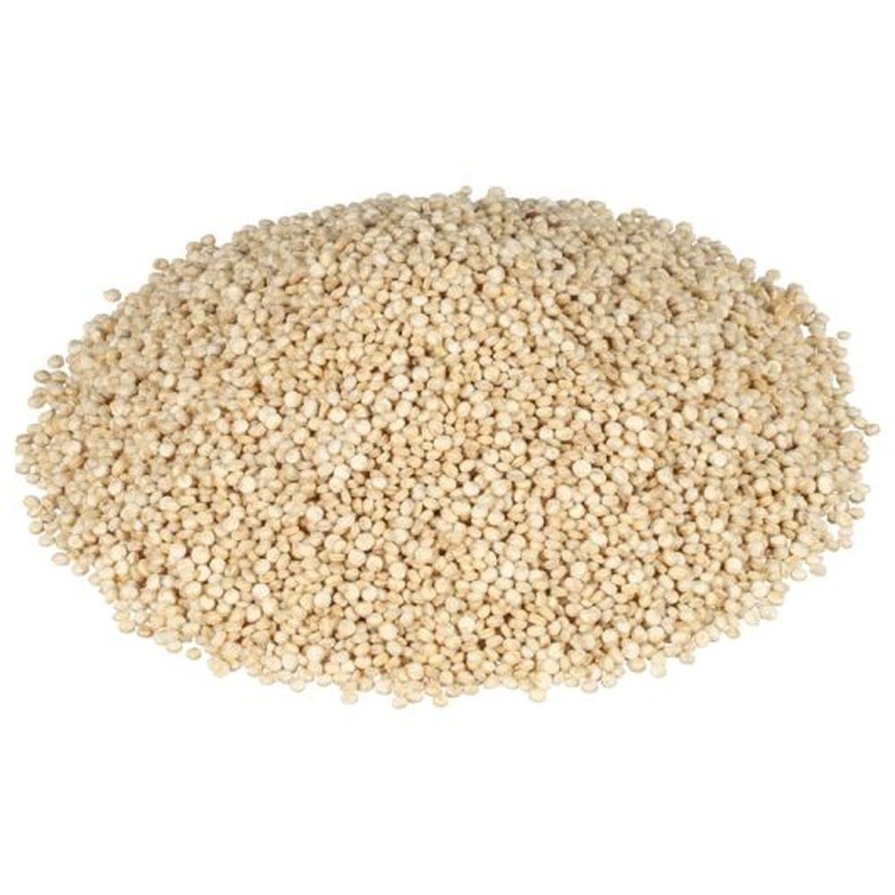 Product gallery 793613579